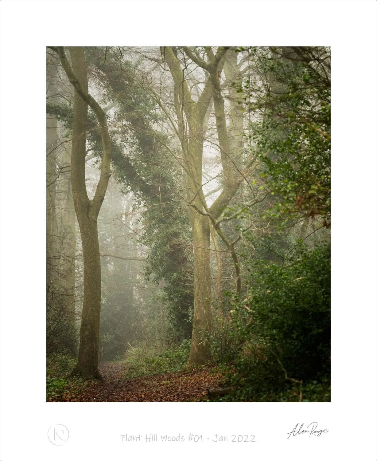 Plant Hill Woods #01 - Jan 2022.jpg
