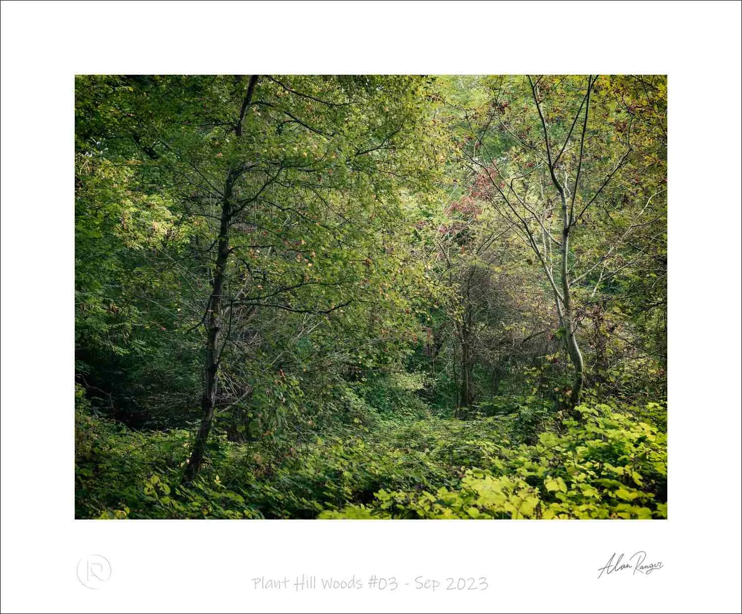 Plant Hill Woods #03 - Sep 2023.jpg