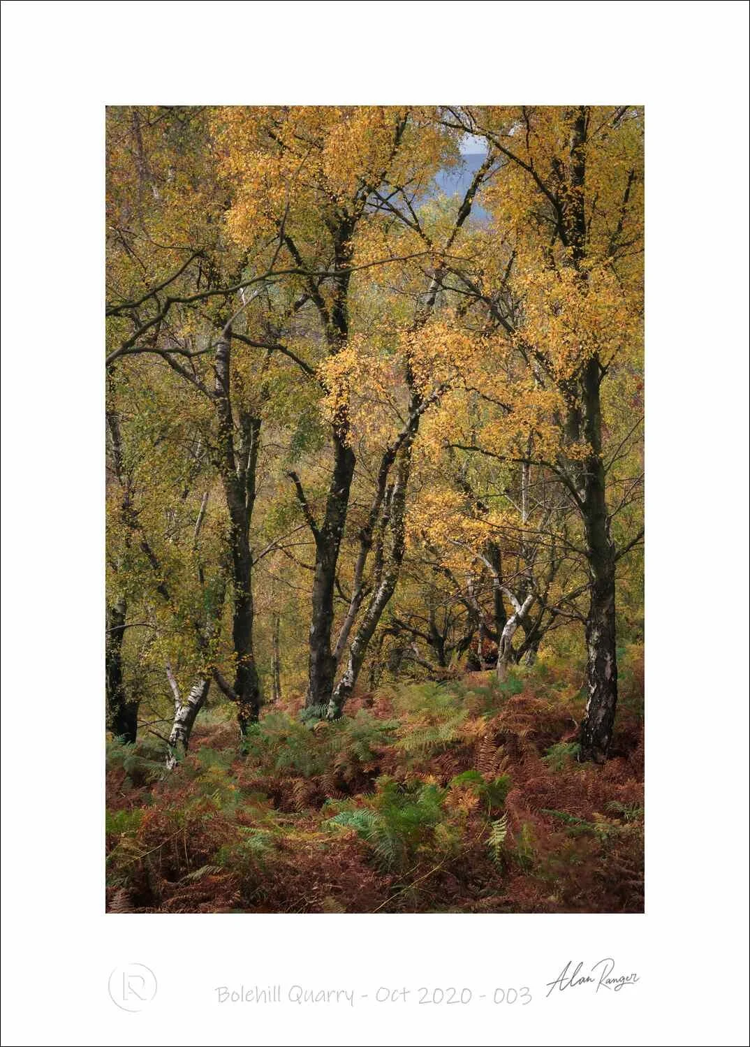 Bolehill Quarry - Oct 2020 - 003.jpg