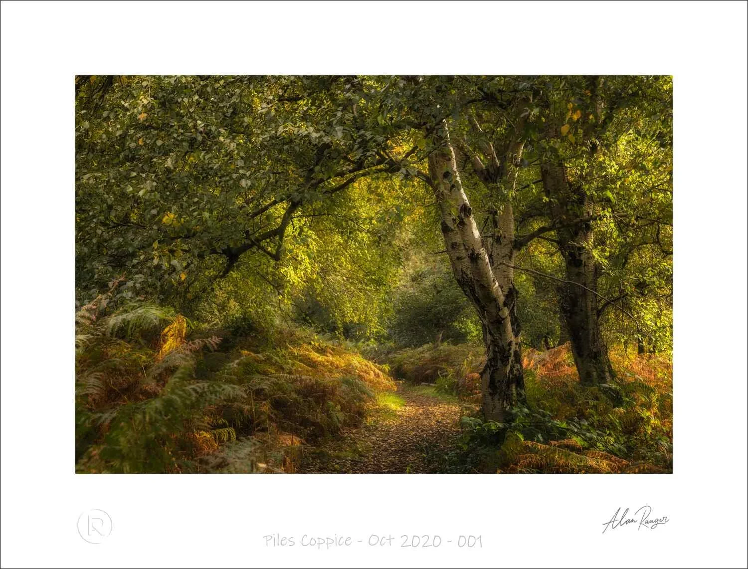 Piles Coppice - Oct 2020 - 001.jpg