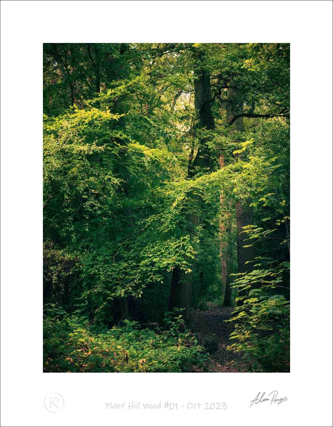 Plant Hiil Wood #01 - Oct 2023.jpg