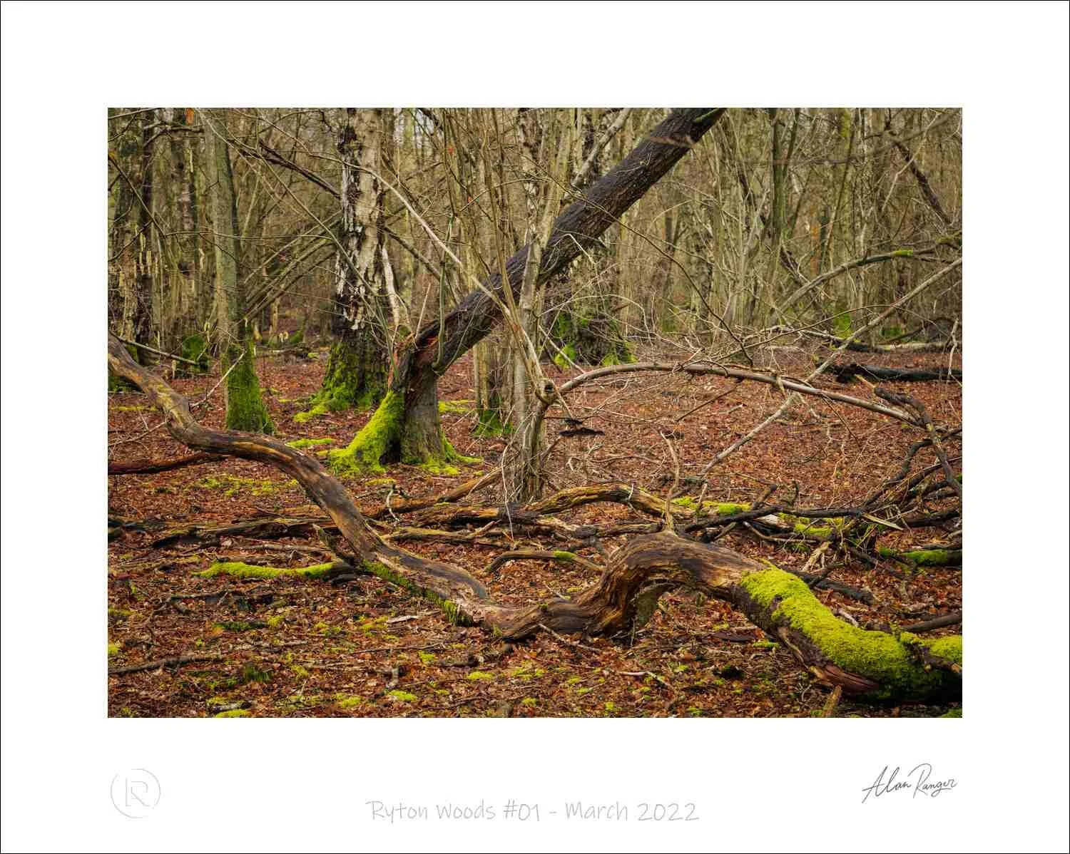 Ryton Woods #01 - March 2022.jpg