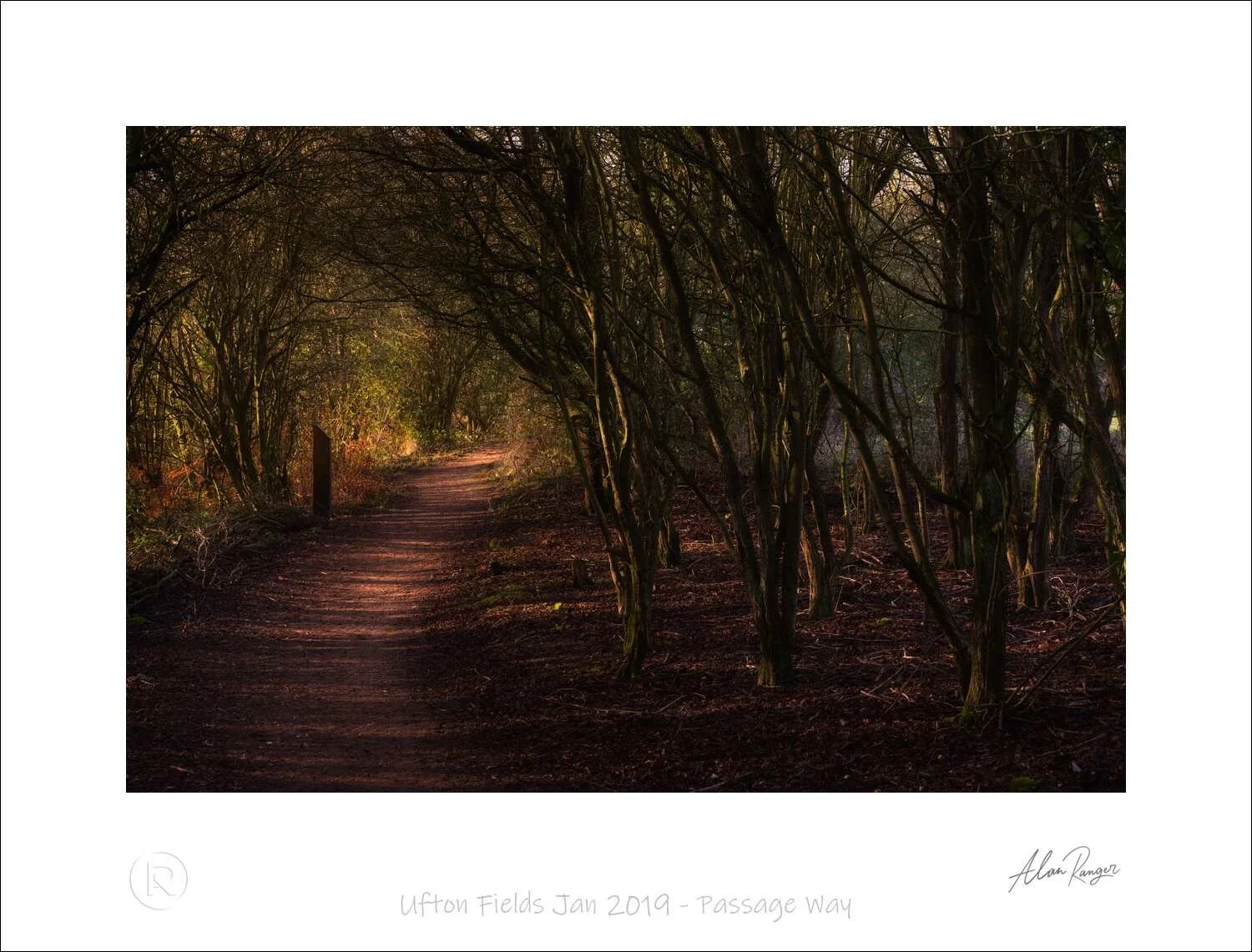 Ufton Fields Jan 2019 - Passage Way.jpg