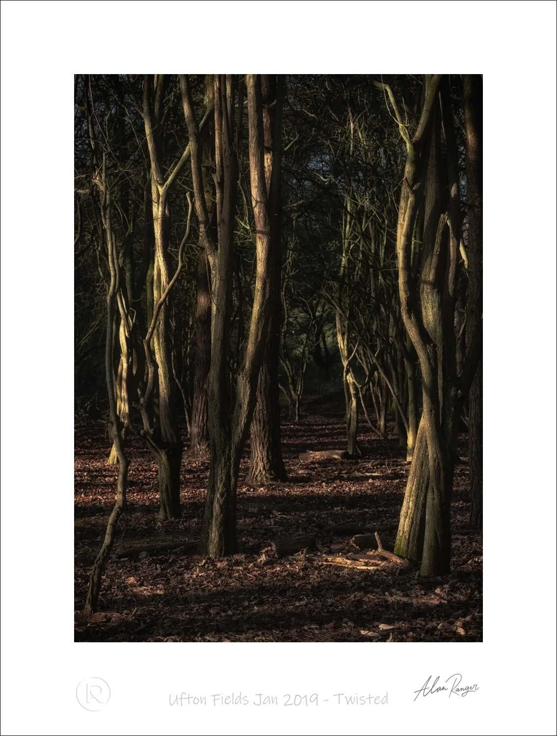 Ufton Fields Jan 2019 - Twisted.jpg