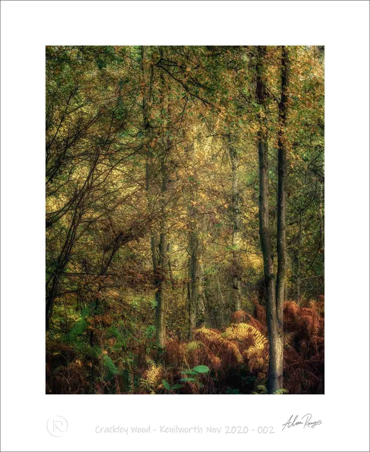Crackley Wood - Kenilworth Nov 2020 - 002.jpg