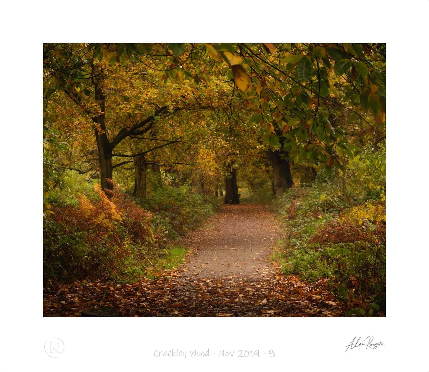 Crackley Wood - Nov 2019 - 8.jpg