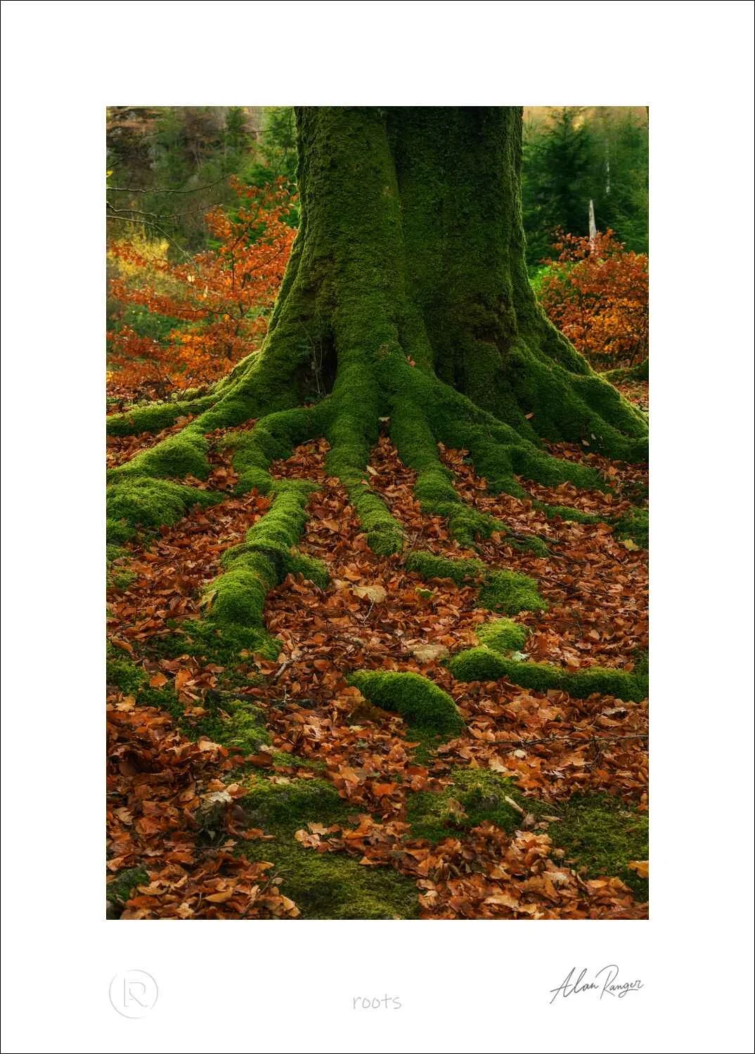 Glencoe Photography Workshop