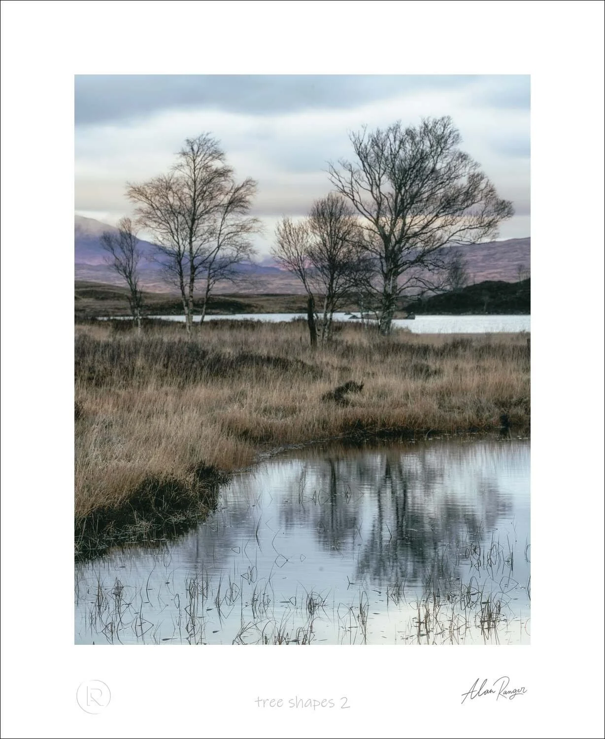 tree shapes 2.jpg