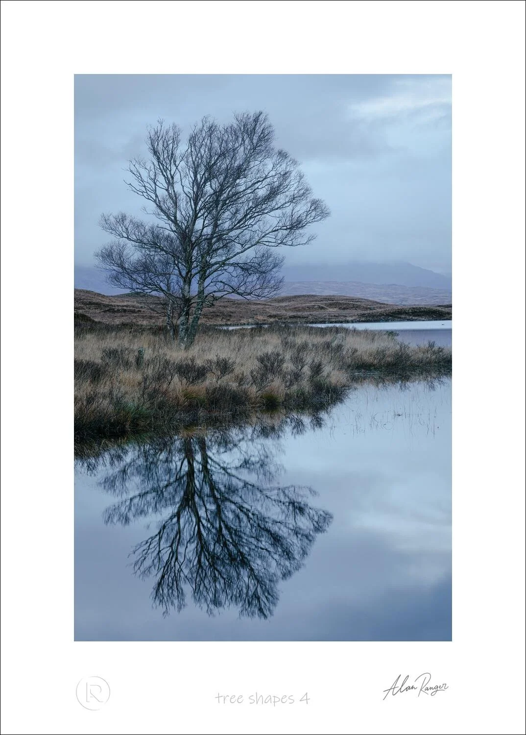 tree shapes 4.jpg