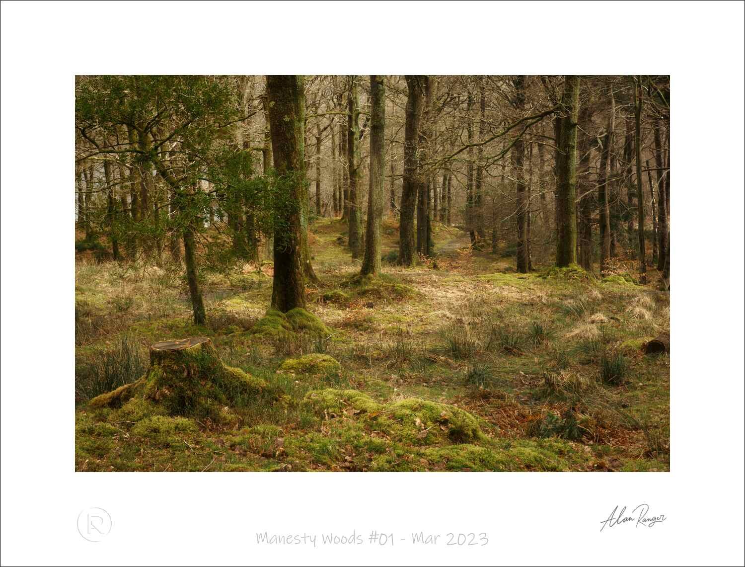 Manesty Woods #01 - Mar 2023.jpg