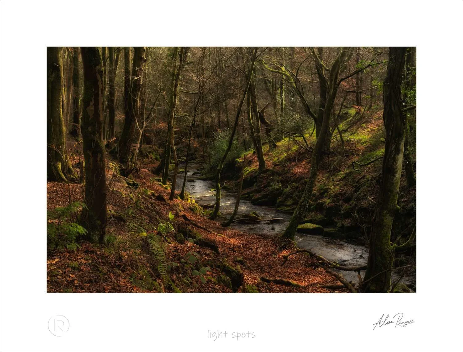 nant mill photography
