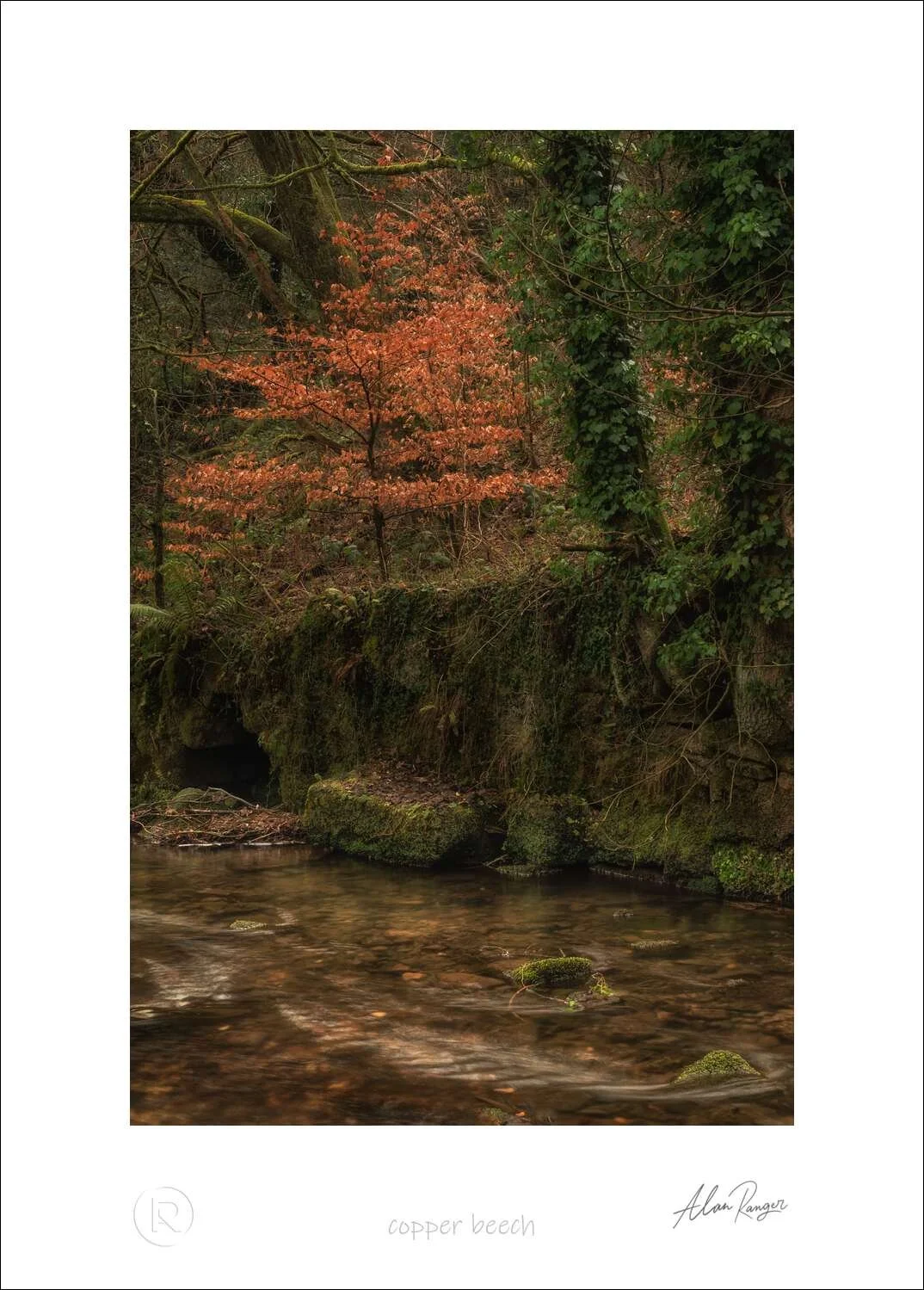 nant mill photography
