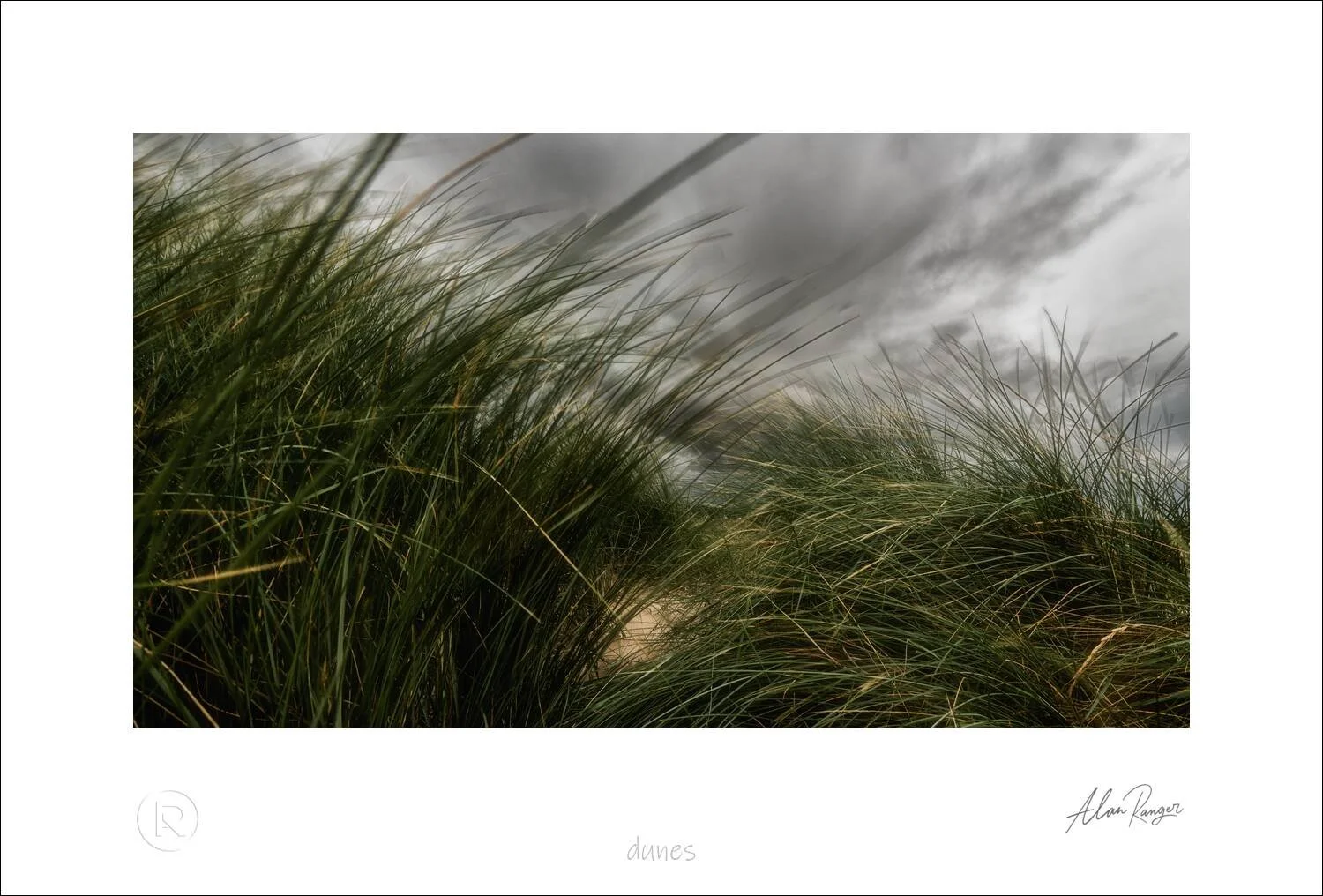 dunes.jpg