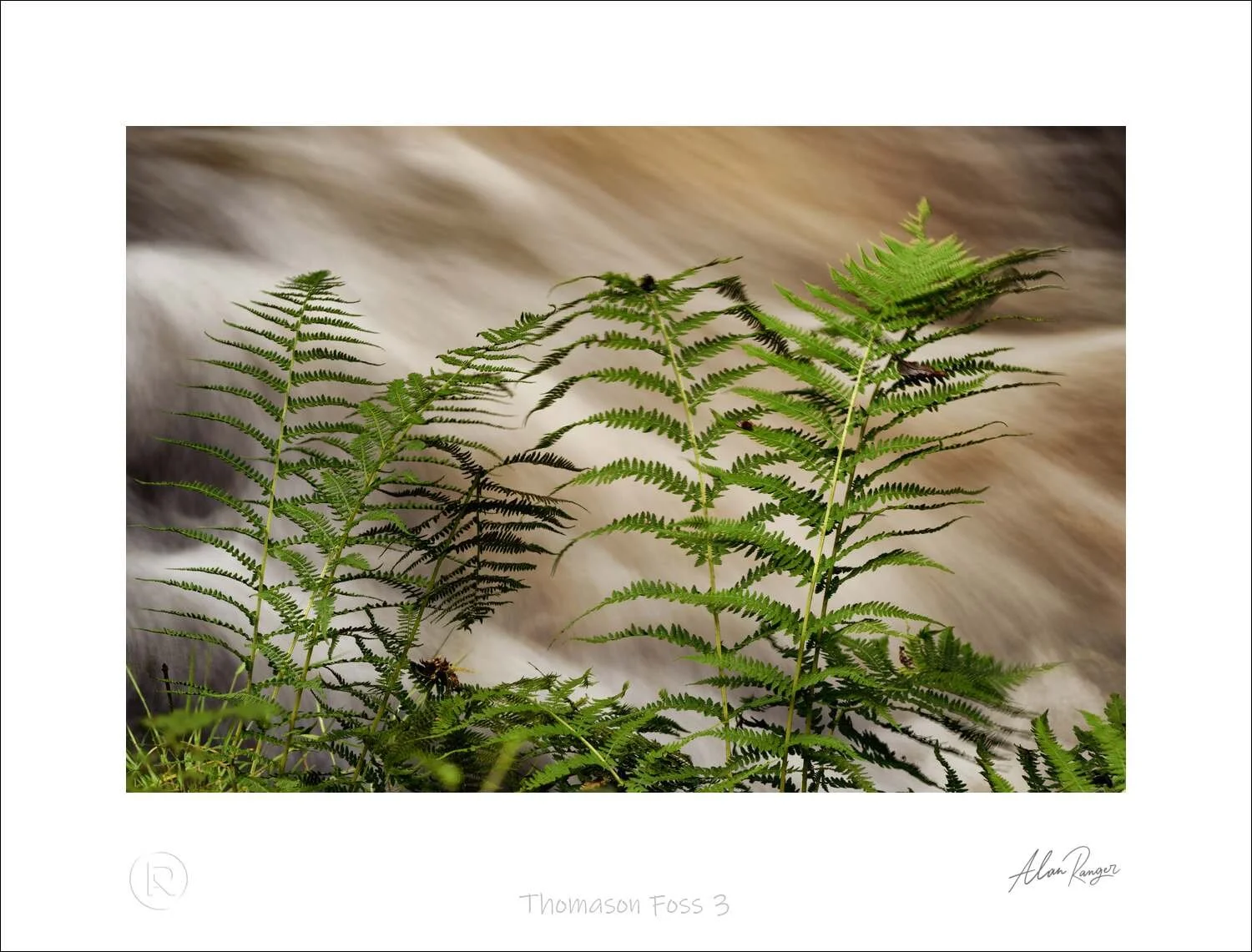 Thomason Foss 3.jpg