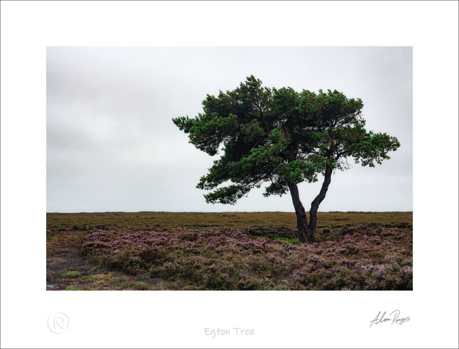 Egton Tree.jpg