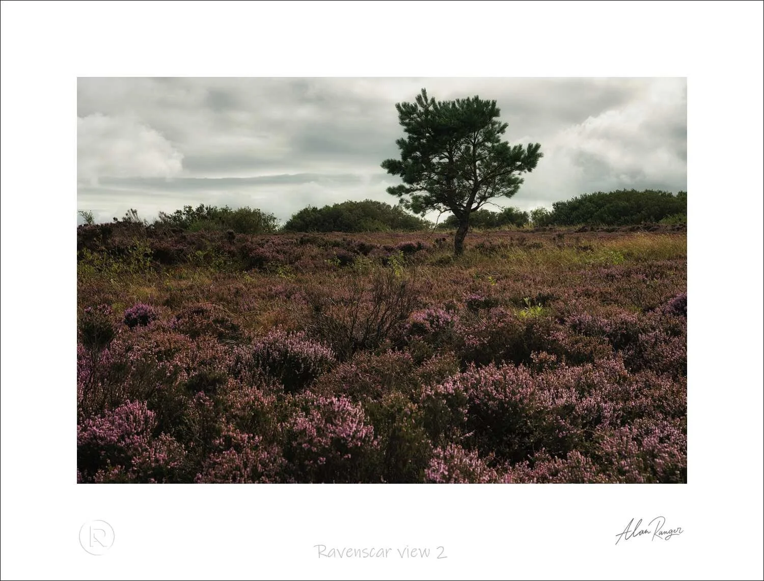 Ravenscar view 2.jpg