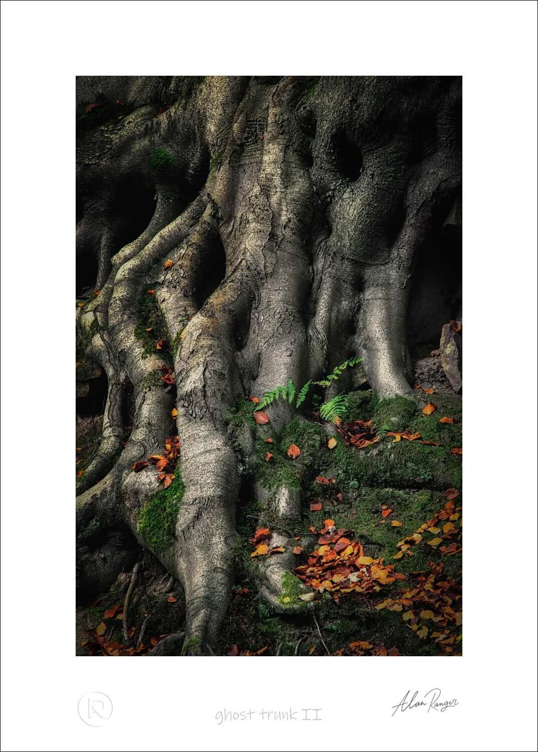 ghost trunk II.jpg