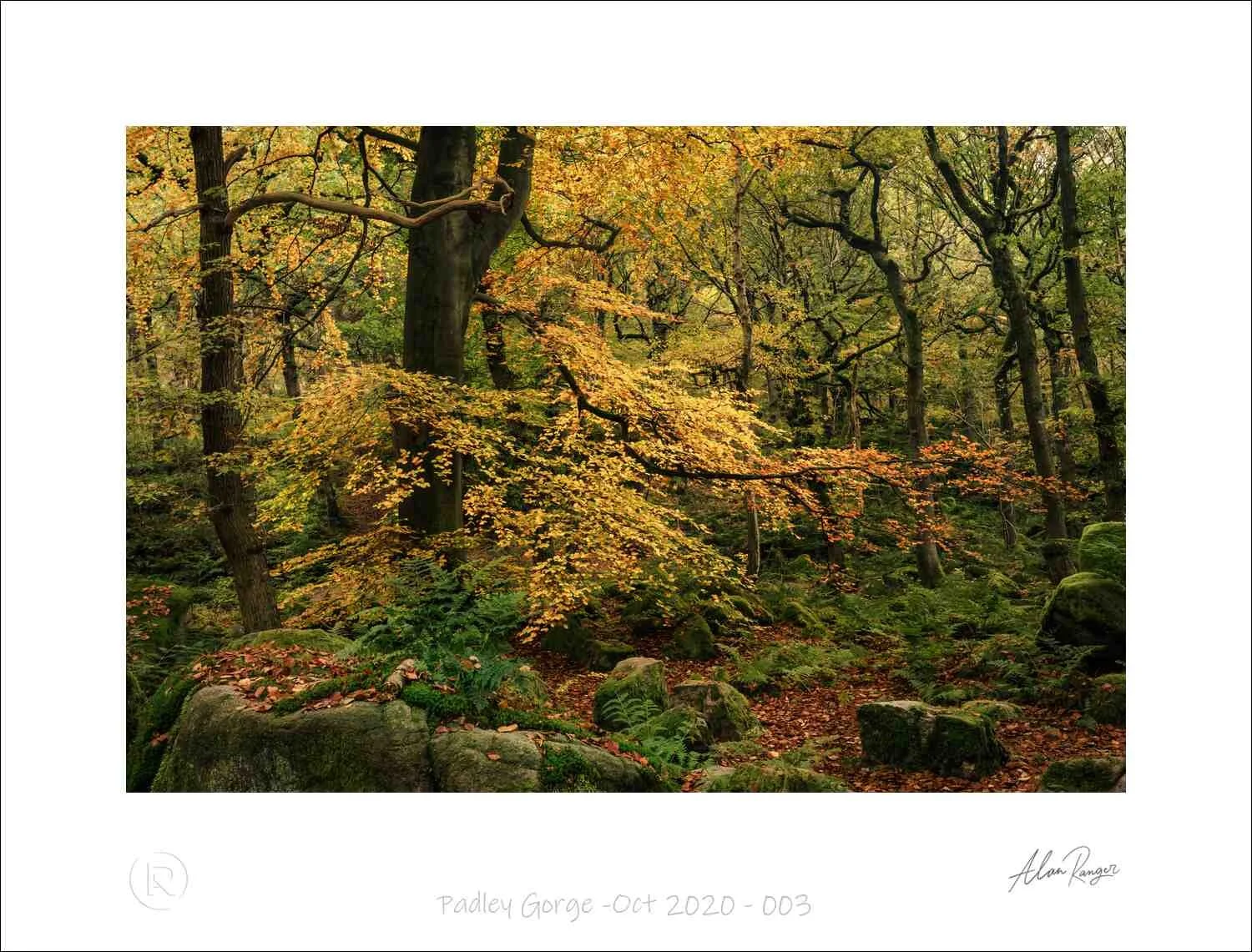 Peak District Photography workshops