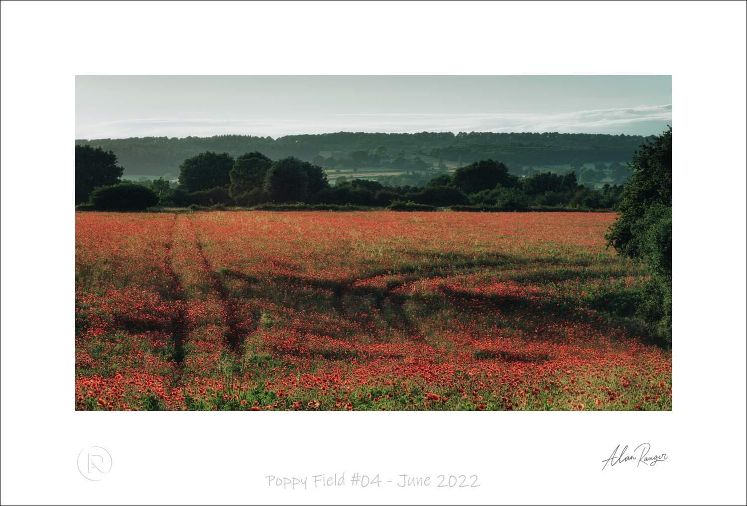 Poppy Field #04 - June 2022.jpg