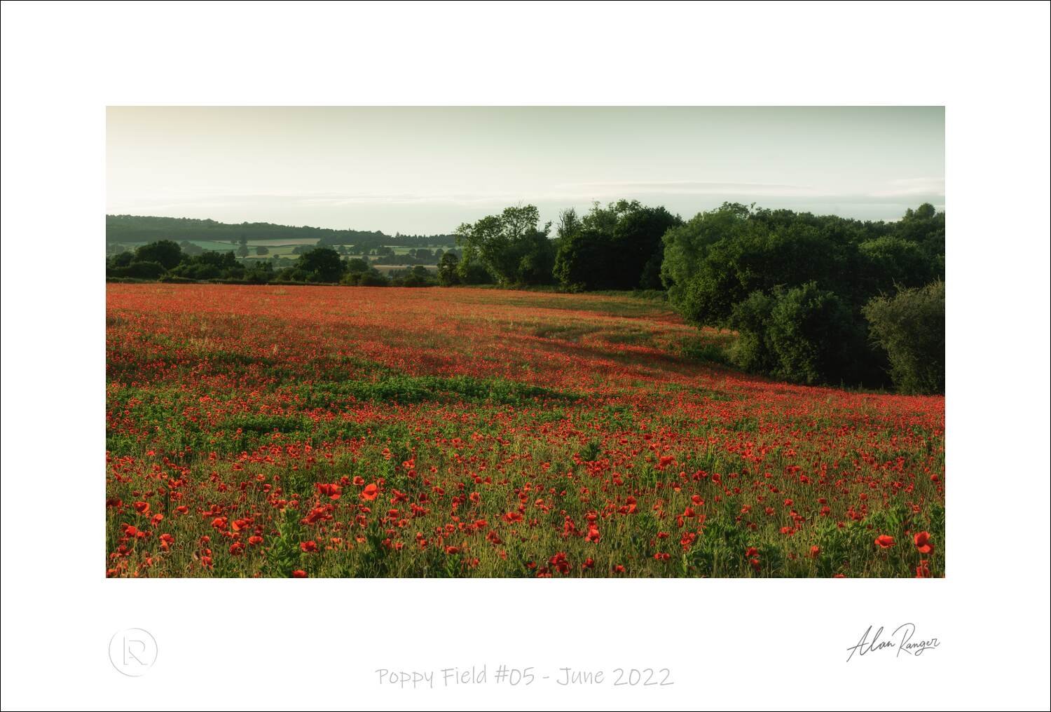 Poppy Field #05 - June 2022.jpg