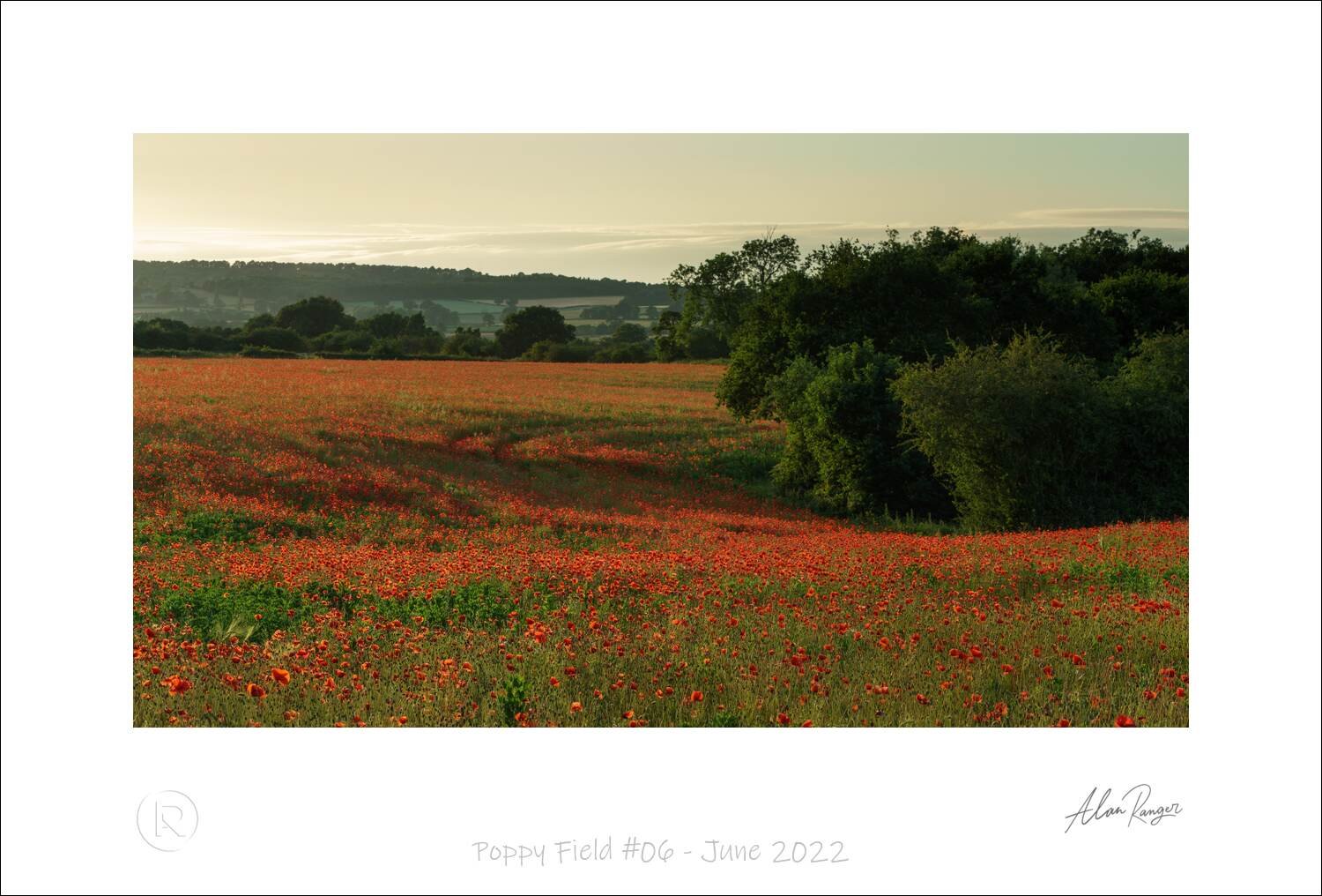 Poppy Field #06 - June 2022.jpg