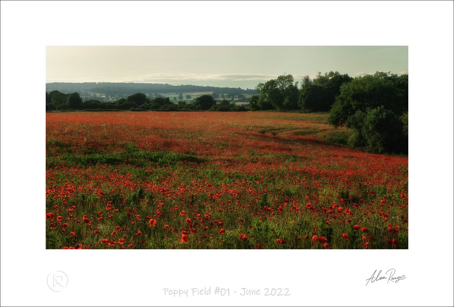 Poppy Field #01 - June 2022.jpg