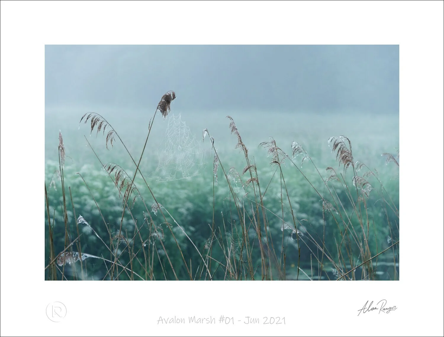 Avalon Marsh #01 - Jun 2021.jpg