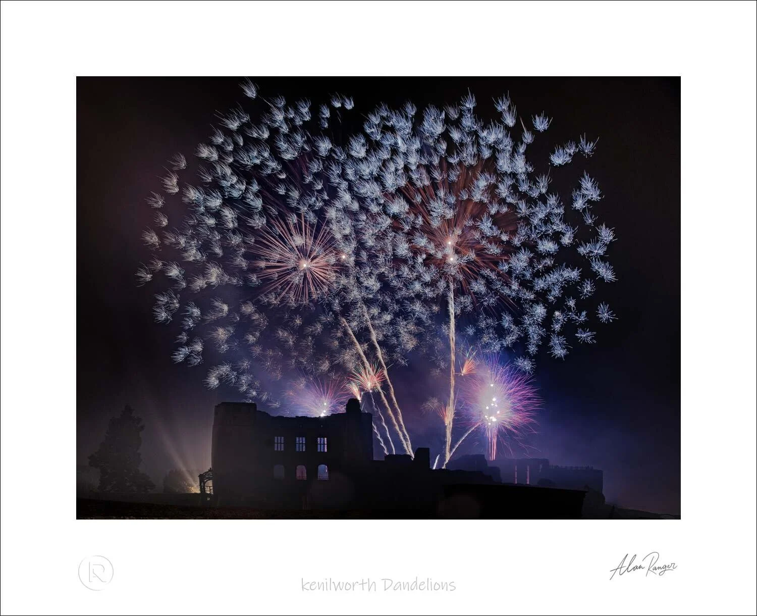 kenilworth Dandelions.jpg
