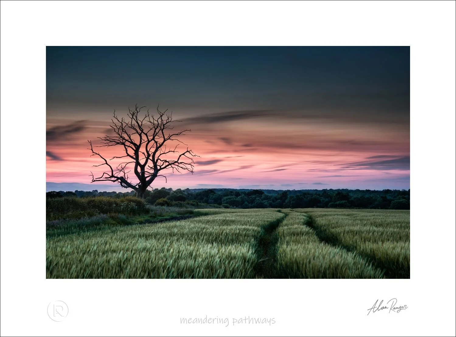 meandering pathways.jpg