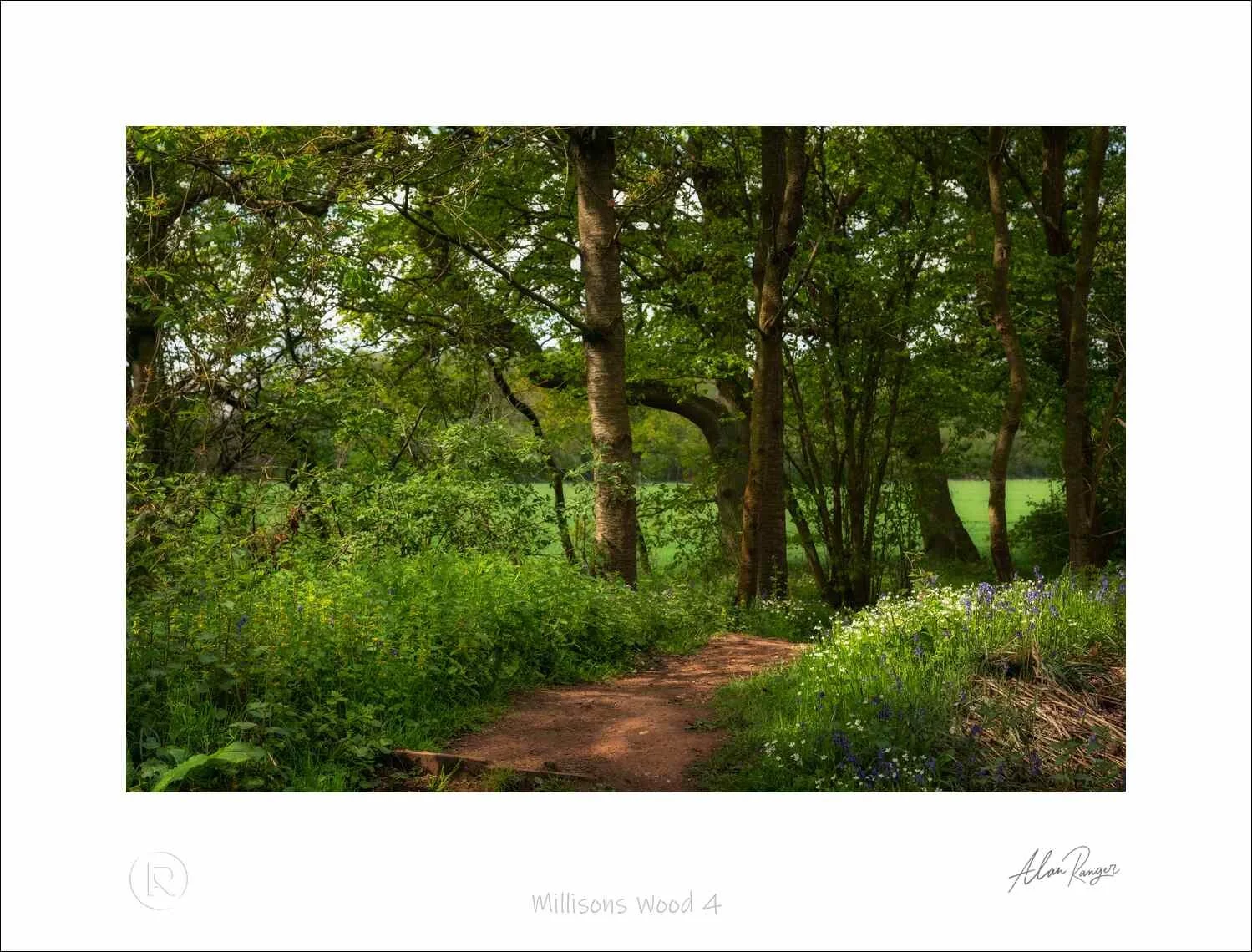 Millisons Wood 4.jpg