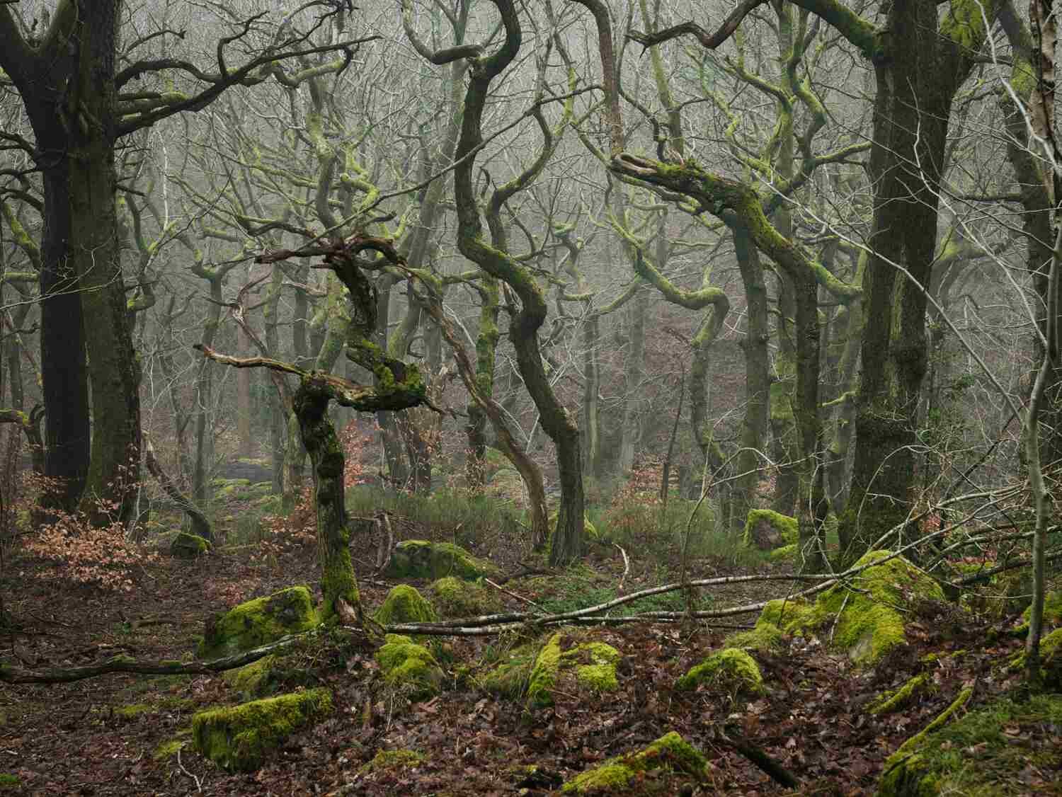 Peak District Photography workshops.jpg