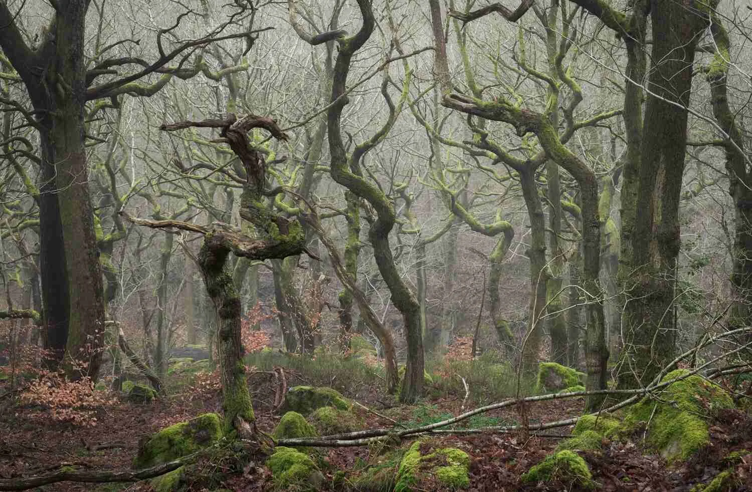 Peak District photography workshops