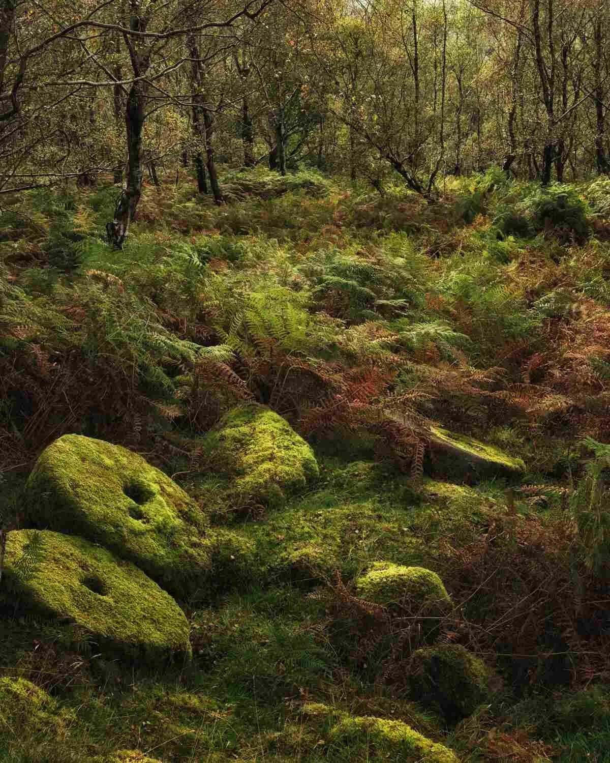 Peak District photography workshops