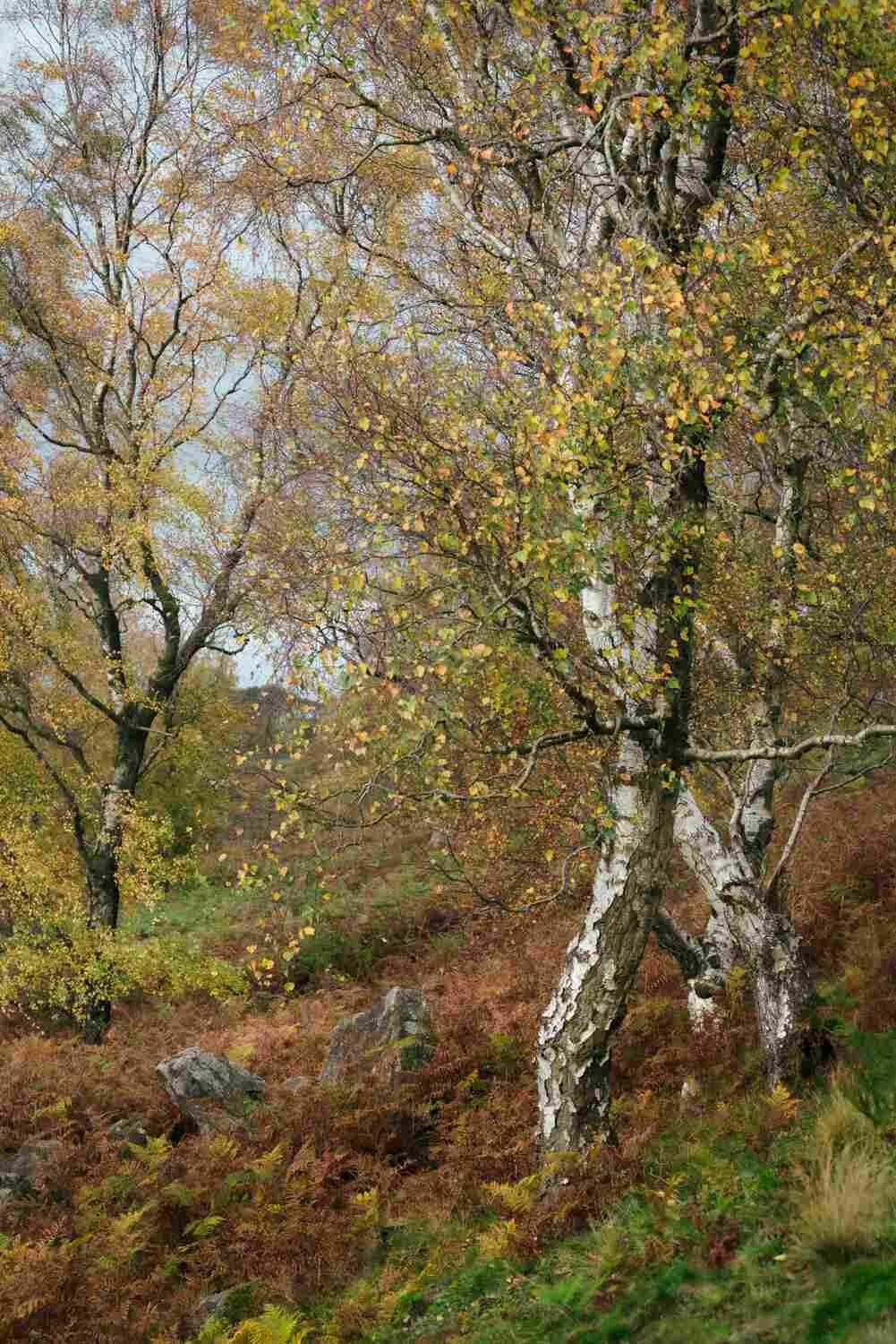 Peak District photography workshops