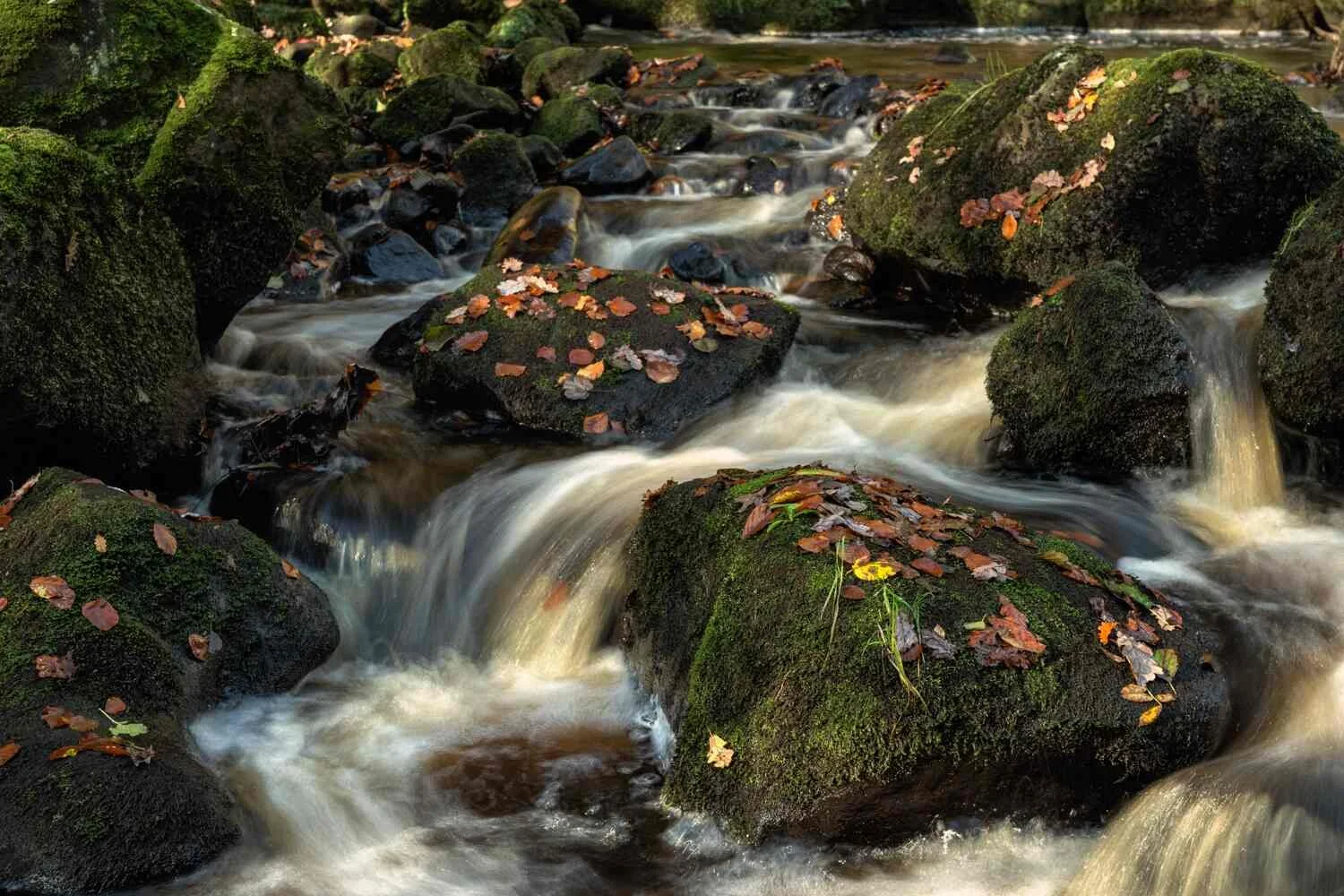 Peak District photography workshops