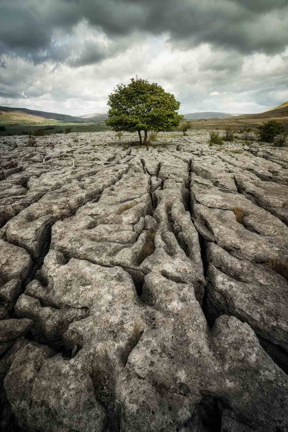 Southerscales Limestone - Cracks.jpg
