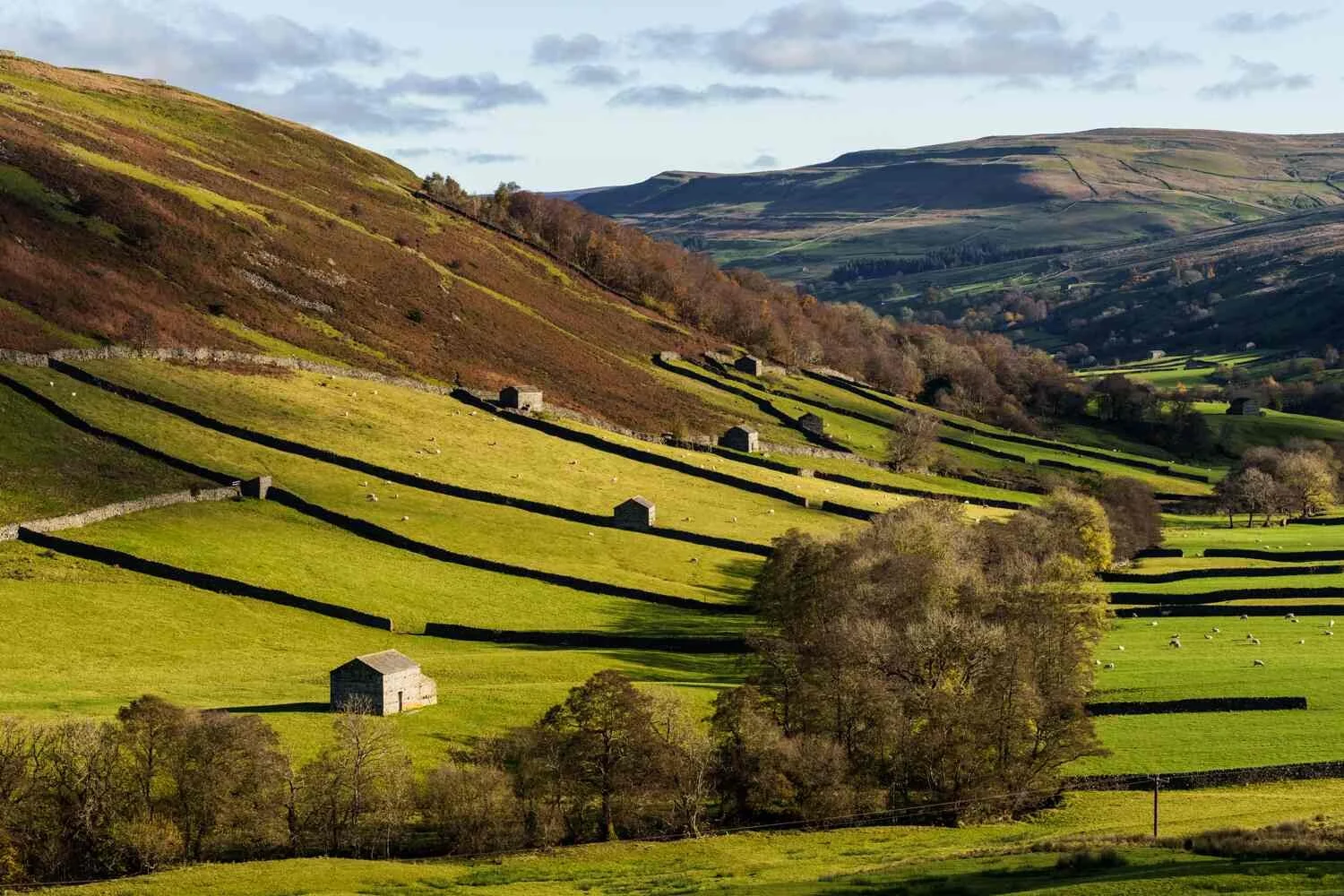 Keld #03- Nov 2023.jpg