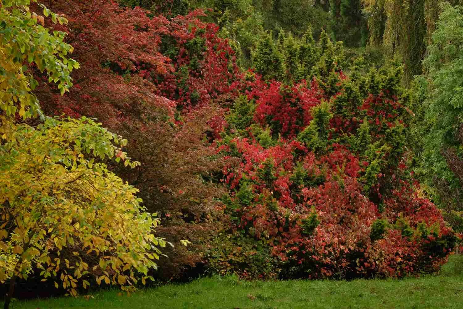 Batsford #22 - Oct 2021.jpg