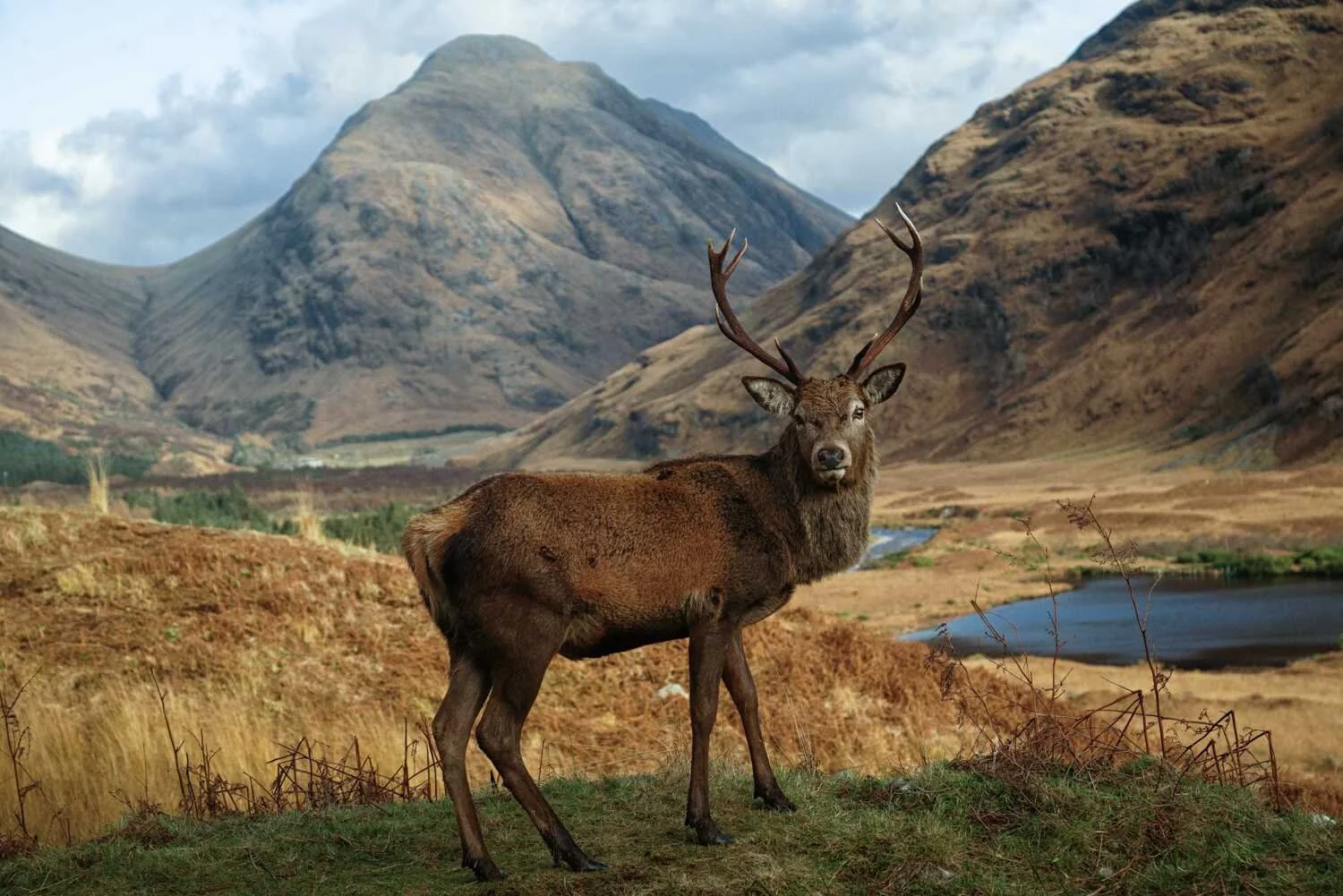 Glencoe Photography Workshop.jpg