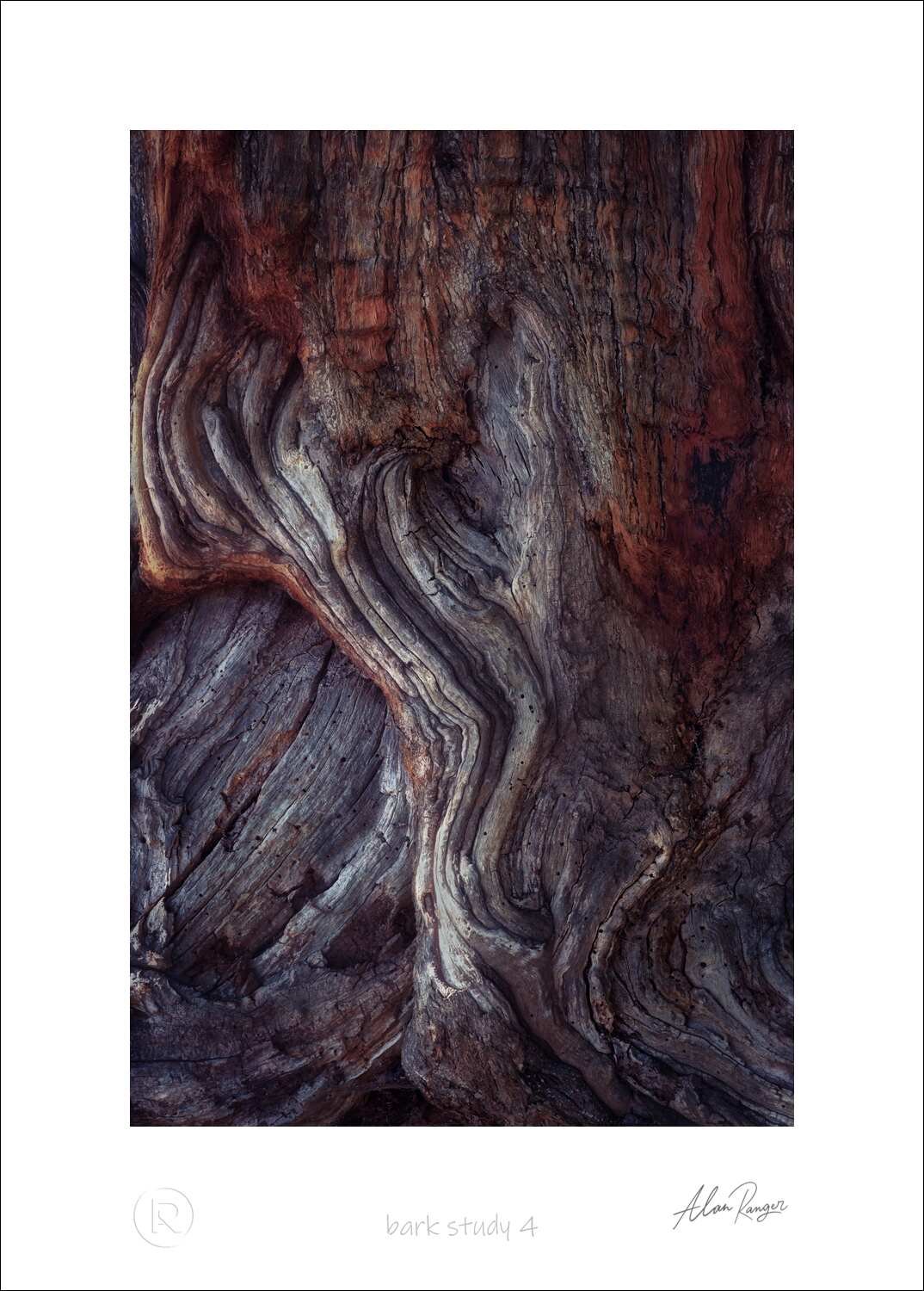 Abstract and Macro Photography