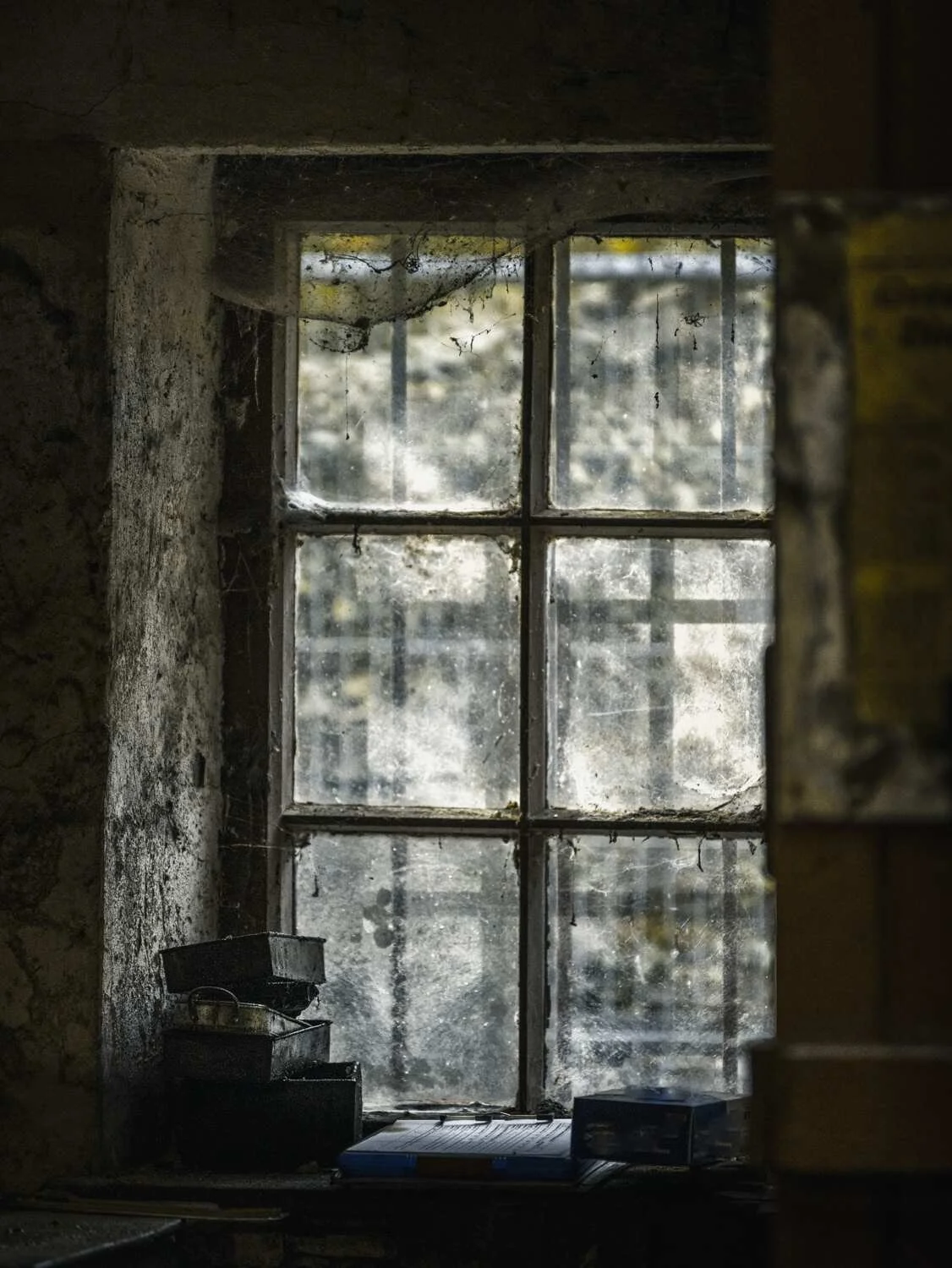 Example of framing in photography — subject isolated by a surrounding frame to guide the viewer’s eye.