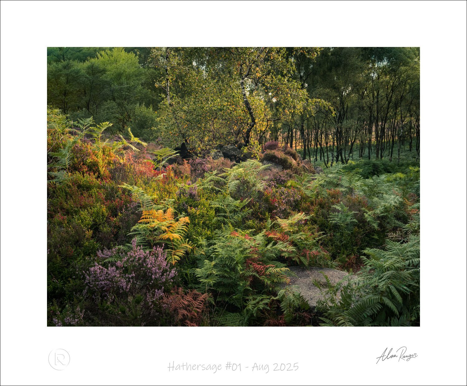 Hathersage #01 - Aug 2025.jpg