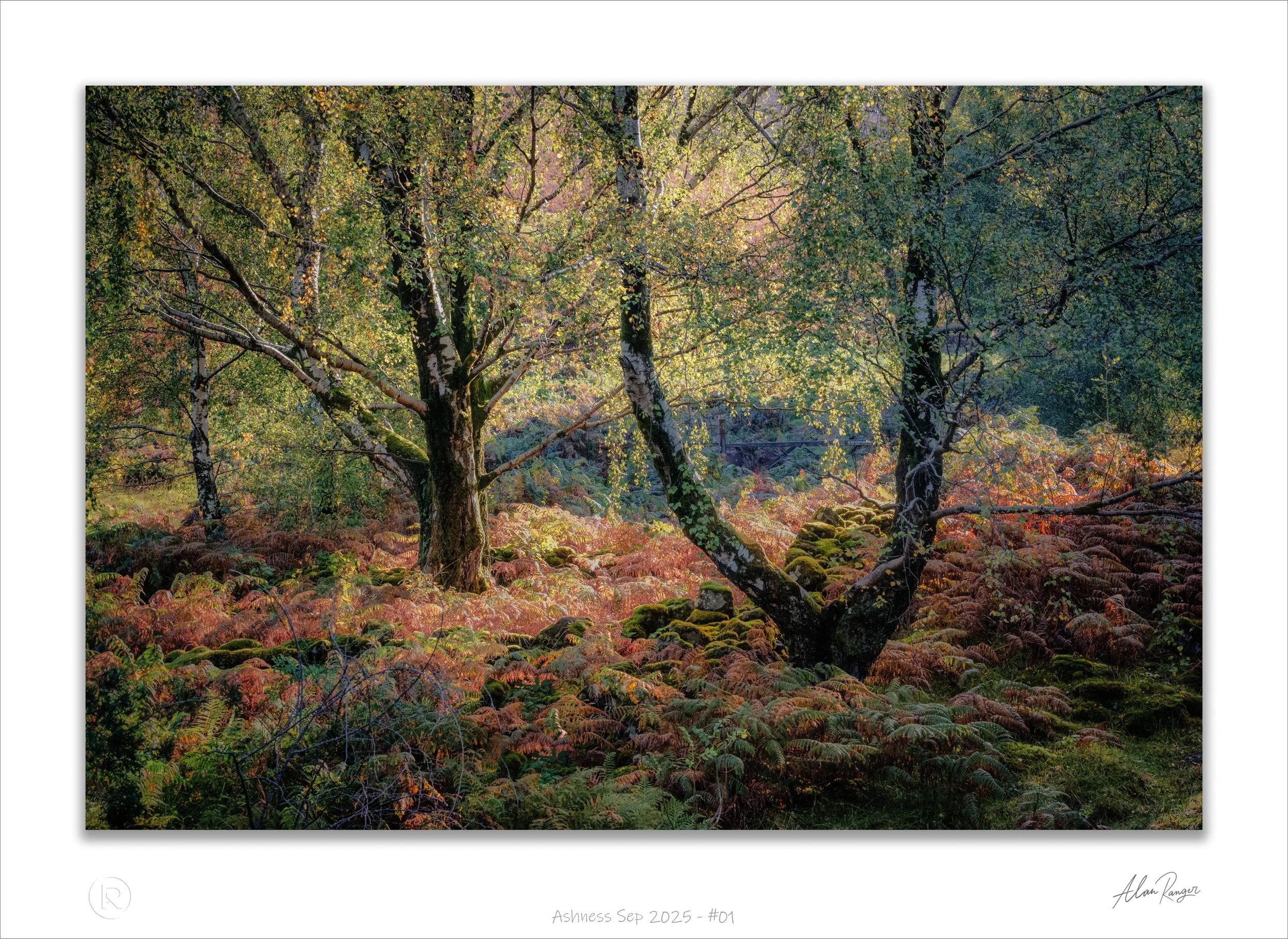 Ashness Sep 2025 - #01.jpg