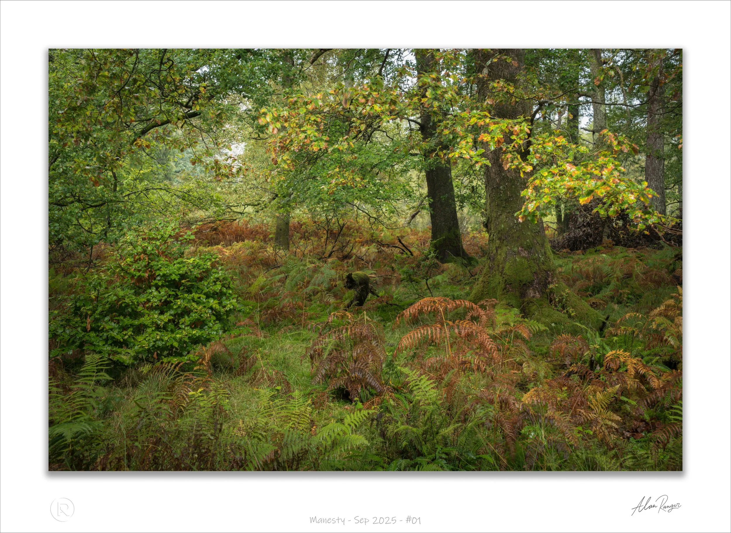 Manesty - Sep 2025 - #01.jpg