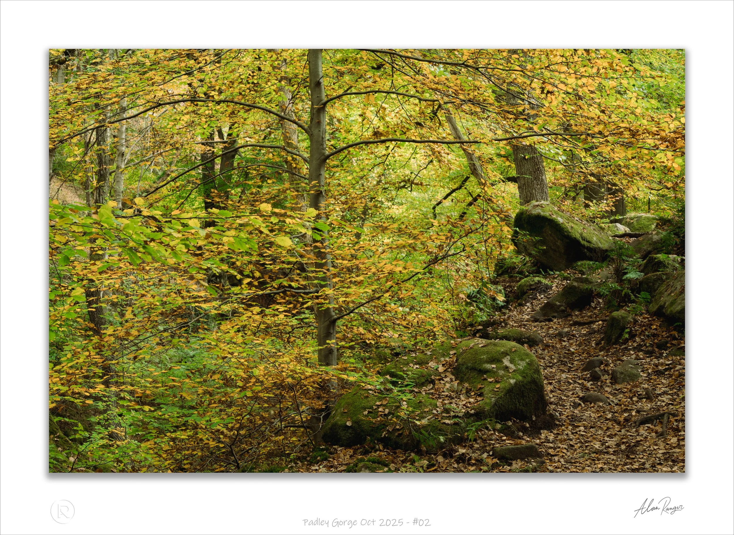 Padley Gorge Oct 2025 - #02.jpg