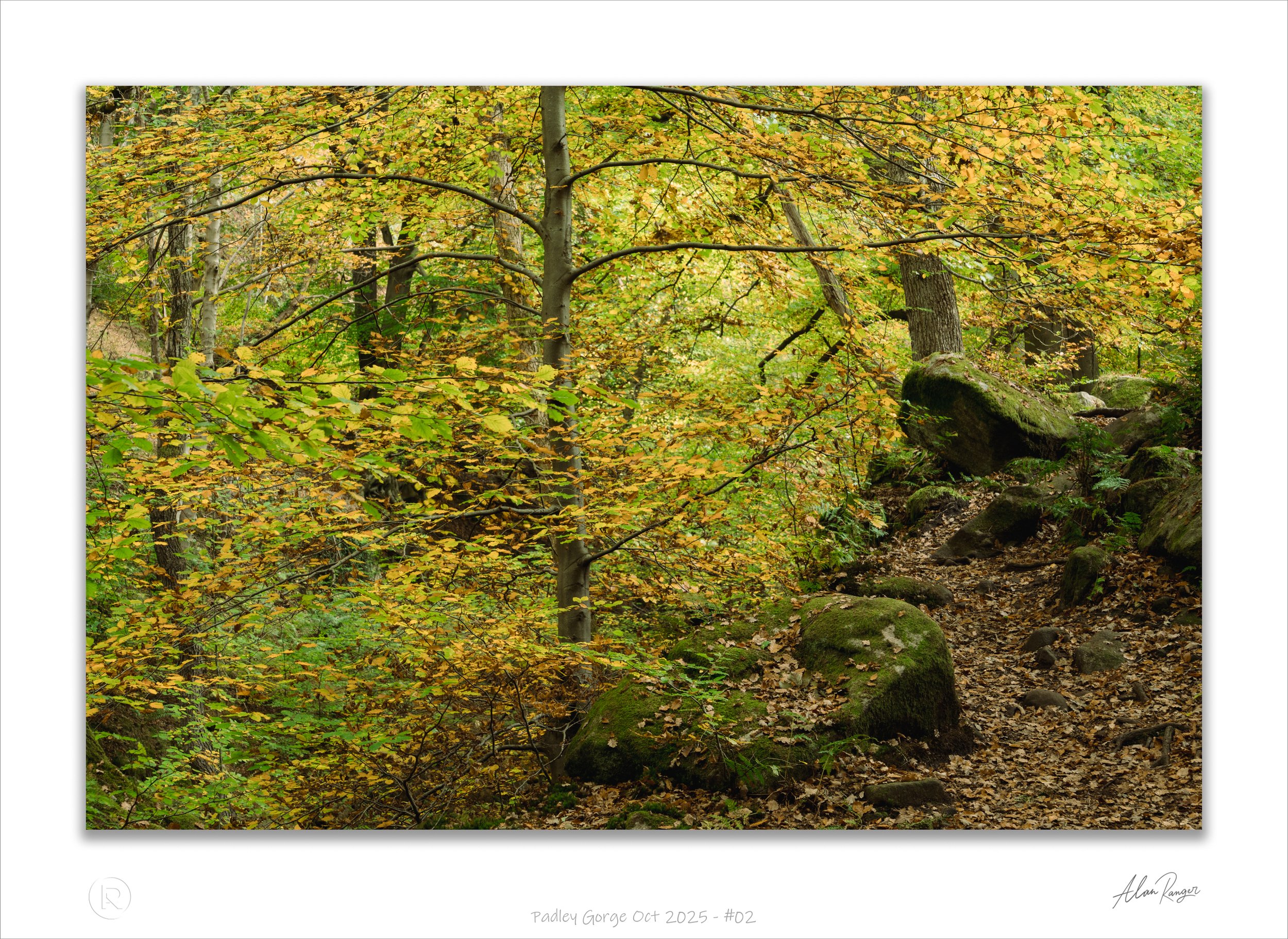 Padley Gorge Oct 2025 - #02.jpg