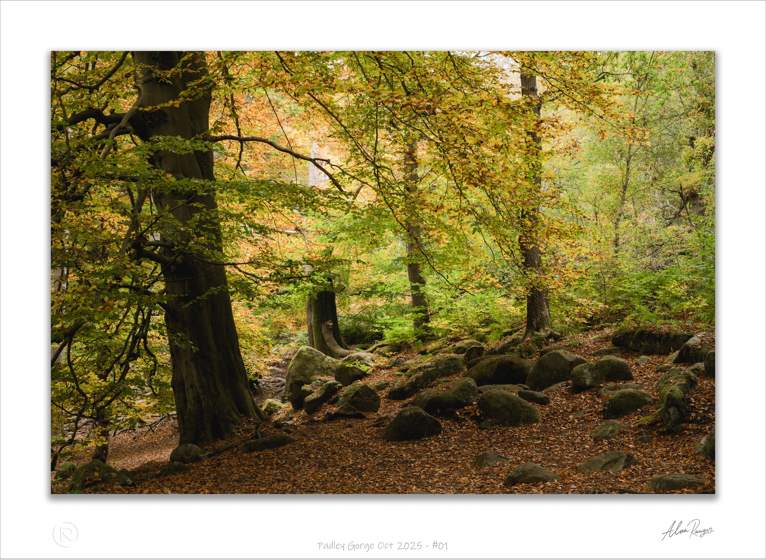Padley Gorge Oct 2025 - #01.jpg