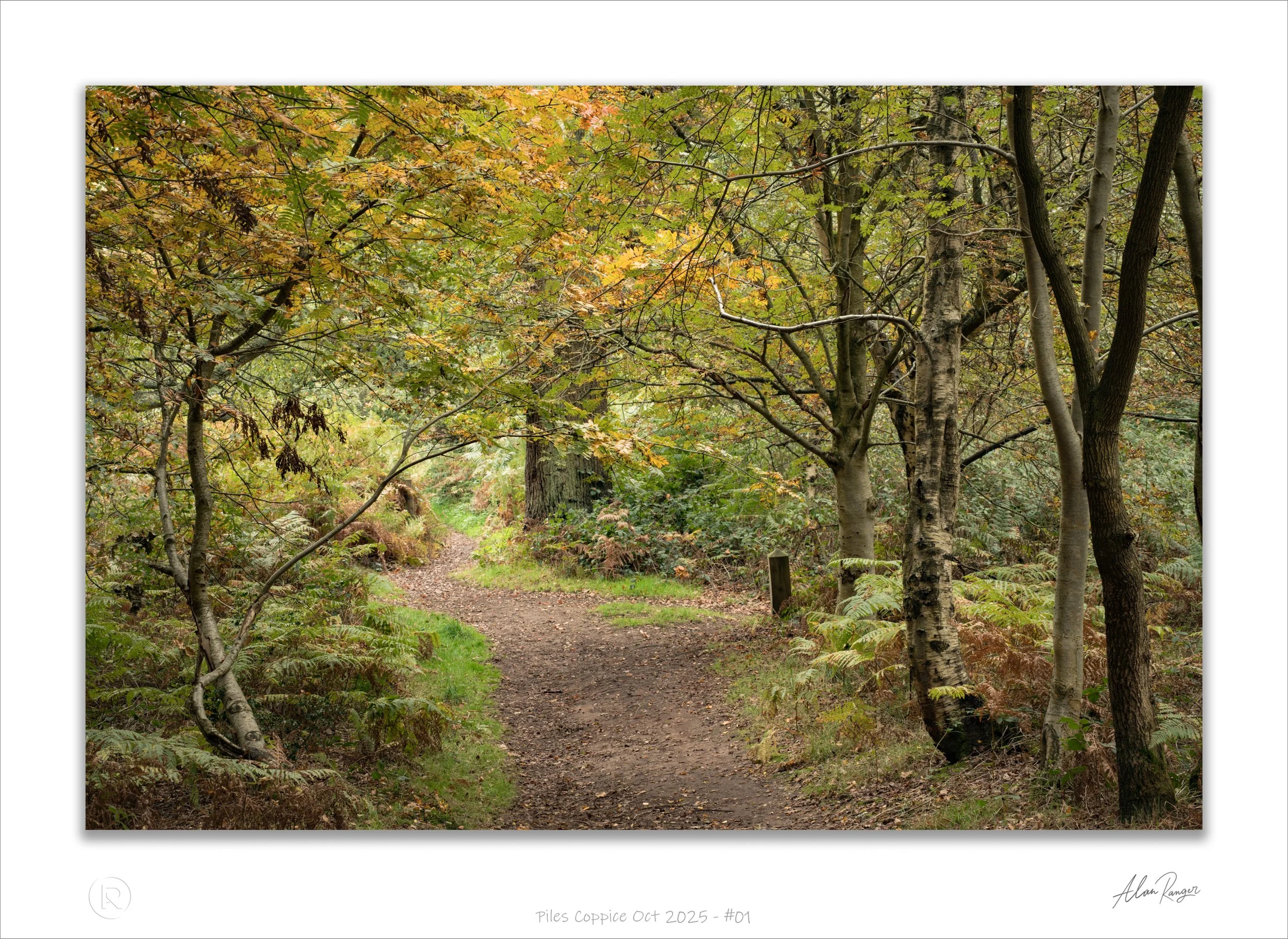 Piles Coppice Oct 2025 - #01.jpg