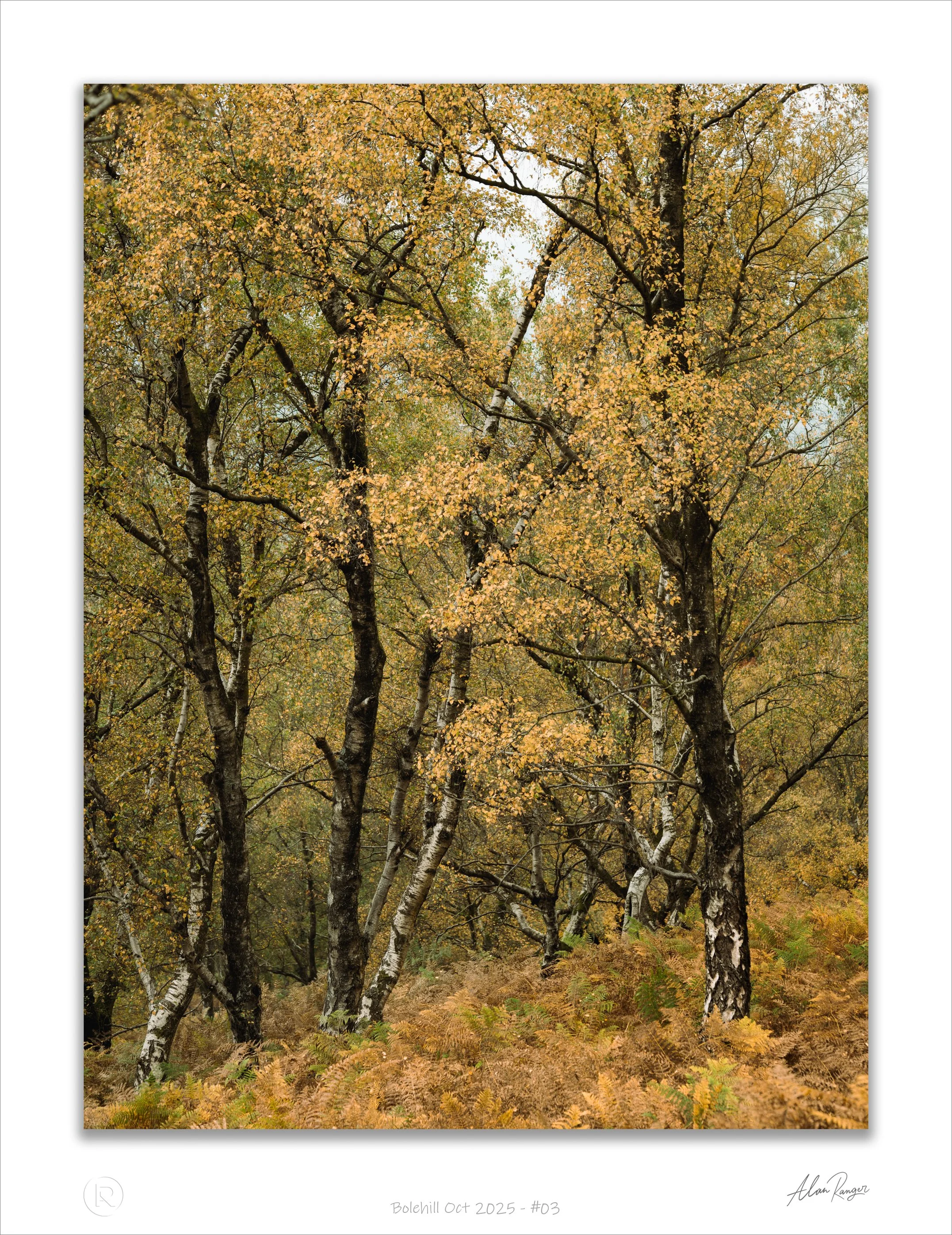 Bolehill Oct 2025 - #03.jpg
