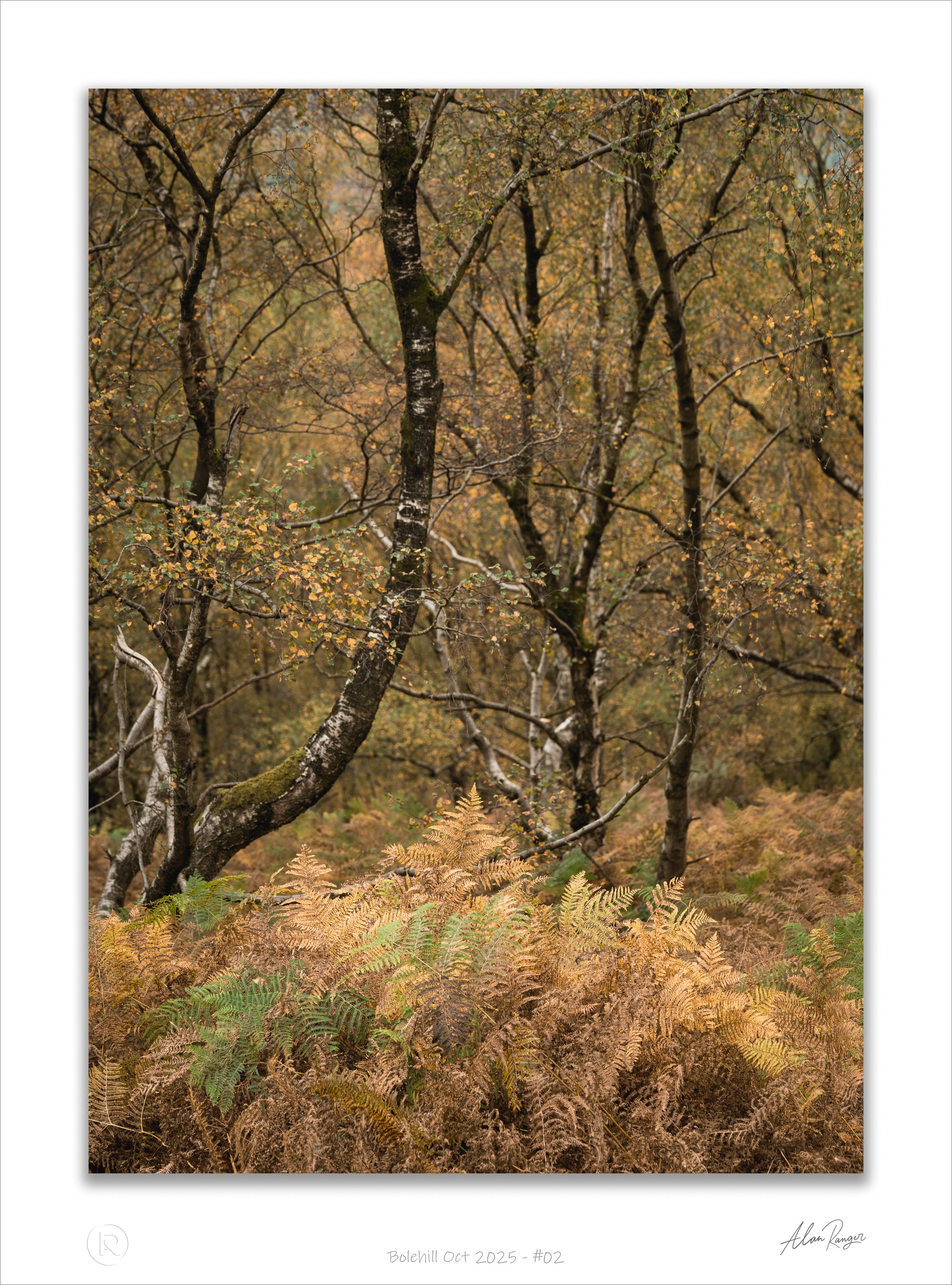 Bolehill Oct 2025 - #02.jpg